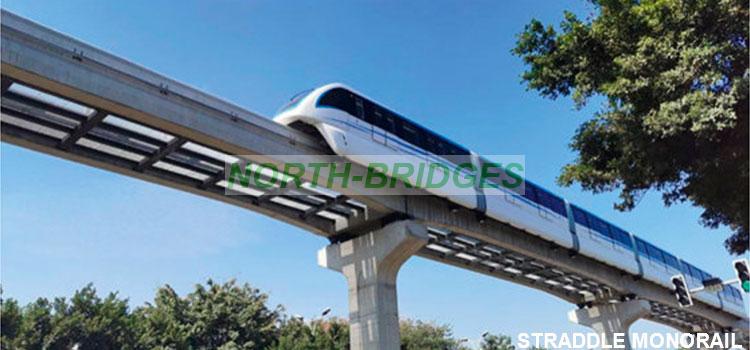 0007-Straddle-Monorail3.jpg